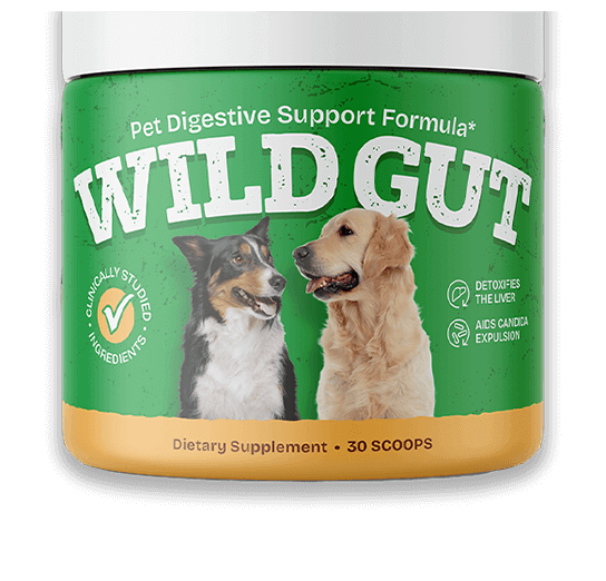 WildGut for dog